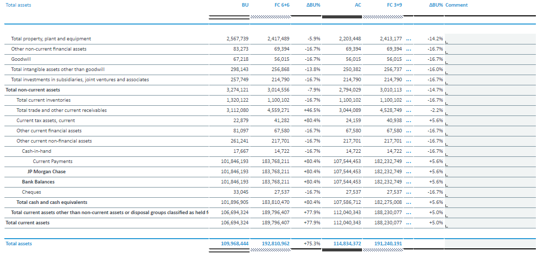 balance-sheet-forecast-report